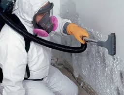 Mold Removal for HVAC Installations in Nokomis, IL